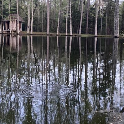 8970F90D-C721-4994-BB53-38A7EBF8A0C2