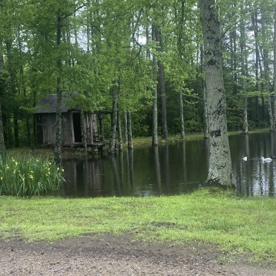 8B13EFD2-9BF7-439F-80D1-747239827B72